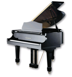 Sponsor a Piano Key